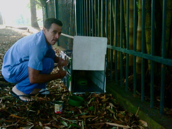 Bicho no Parque Bicho no Parque