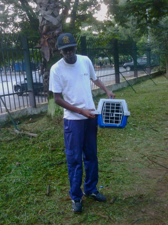 Bicho no Parque Bicho no Parque