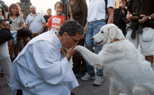Bicho no Parque_Respeito ao Animal