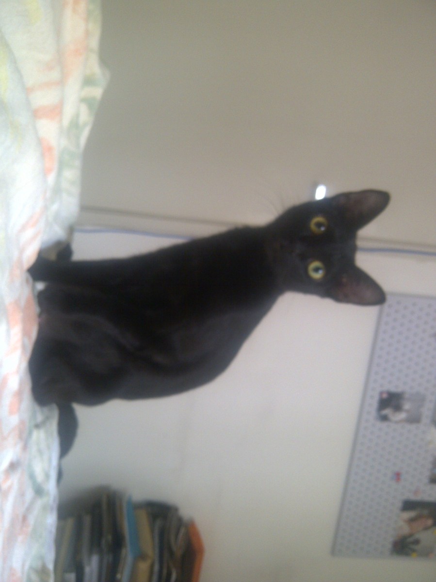 Quando ainda era Naomi, no 1o LT