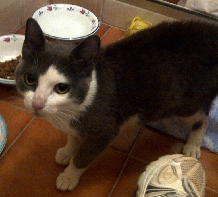 A tia fala que sou mignonzinha, você acha?