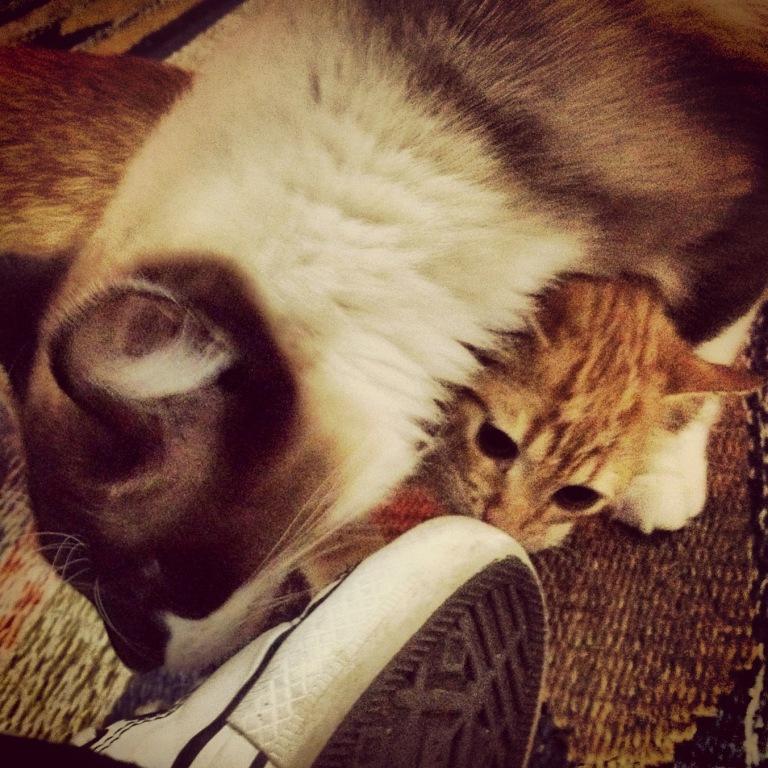 eu e meu irmão Calvin