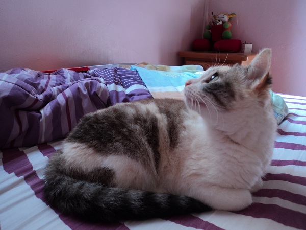 Marie é uma coisa de linda e carinhosa!