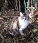 Louise, que nunca se enturmou, é arisca, mas ganhou uma segunda chance e foi adotada