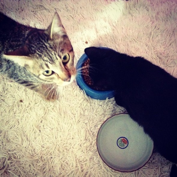 Tinico e sua amiguinha Rajada