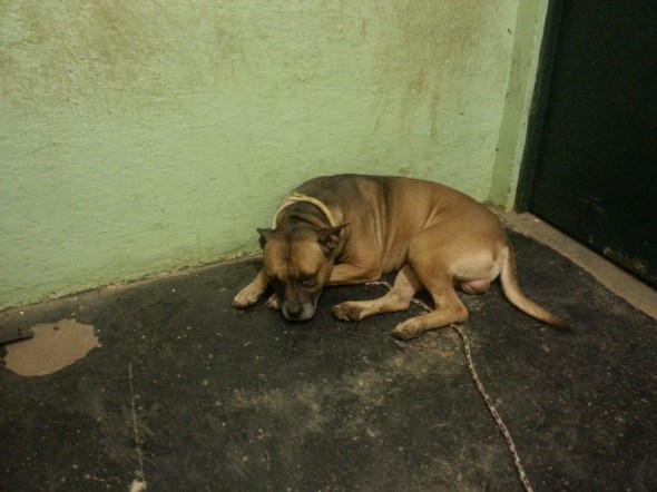 O que eu fiz de errado? :(