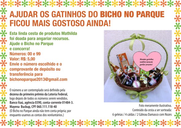 Comprando a rifa, você ajuda os gatinhos atendidos pelo BNP