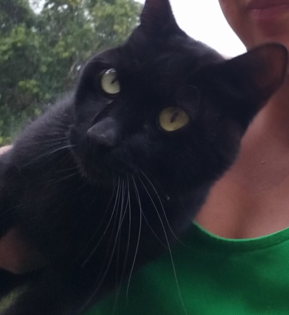 2f603068-3b5f-446c-a92c-f69cac38eb37