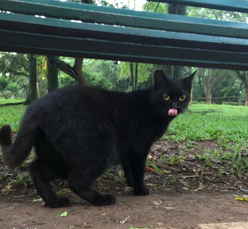 522357ef-0943-4f5d-80c4-69c4ad8a75ed