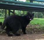 522357ef-0943-4f5d-80c4-69c4ad8a75ed