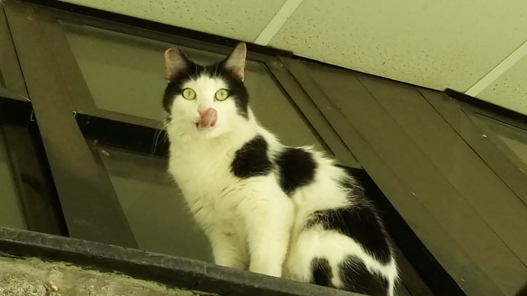 52e52f3e-d105-4018-99b0-80b5045678ef