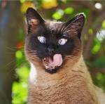 5ad85b8a-bb9a-44e4-818b-9f6b20fac27e