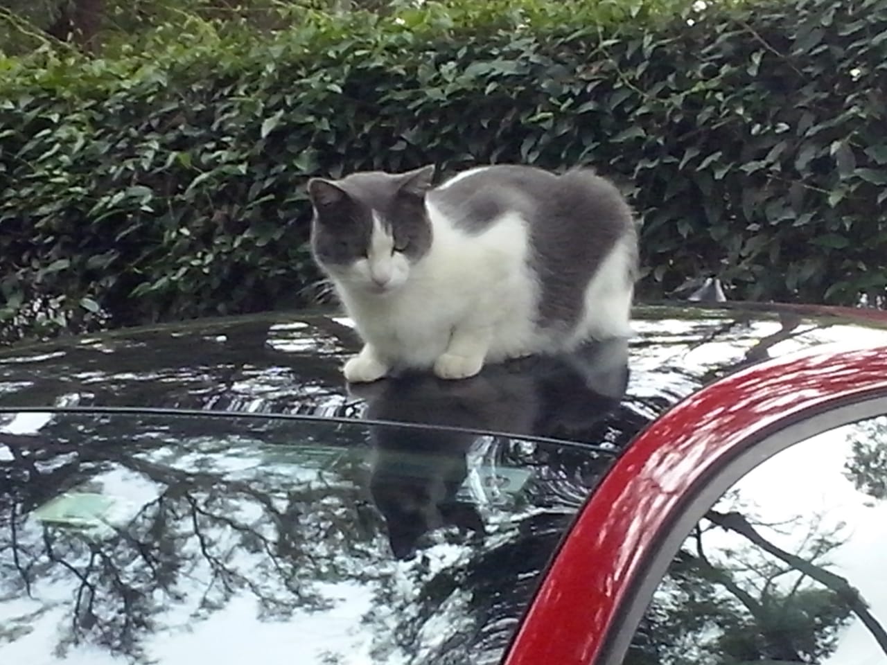 c262b984-6aea-4188-91c8-c054ef205c72