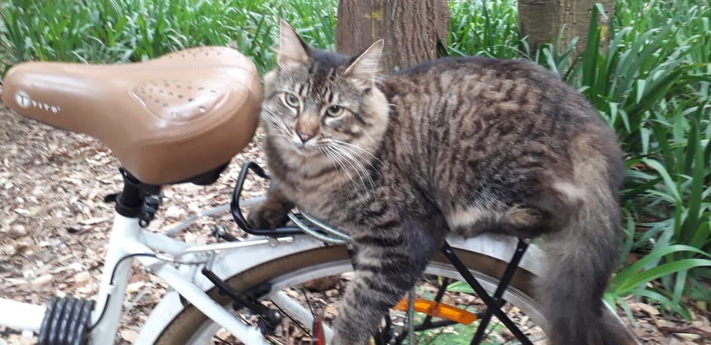 cdda066e-b442-4a20-9a37-56b4d1e2bf14_1