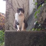 fb1b78c7-577f-4e85-bd42-30f6d8ba8bc7